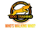 Who's Walking Who? Dog Training Utah