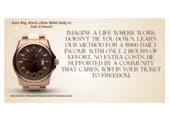 No MLM, zero monthly costs, pure profit